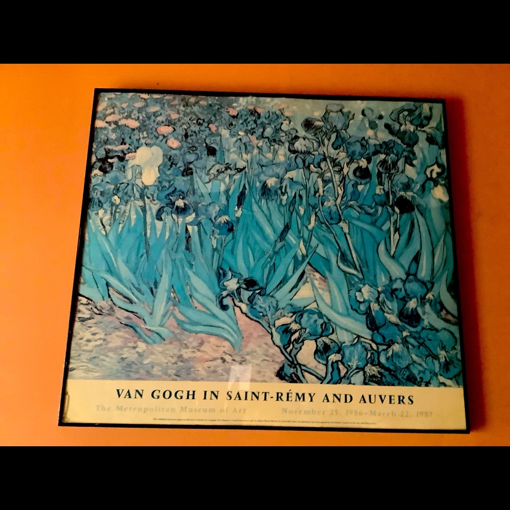 Van Gogh in Saint-Remy and Auvers